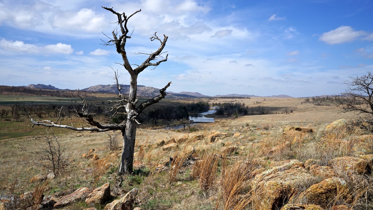 Oklahoma's Top Pet Friendly Attraction: Wichita Mountains Wildlife Refuge | GoPetFriendly.com