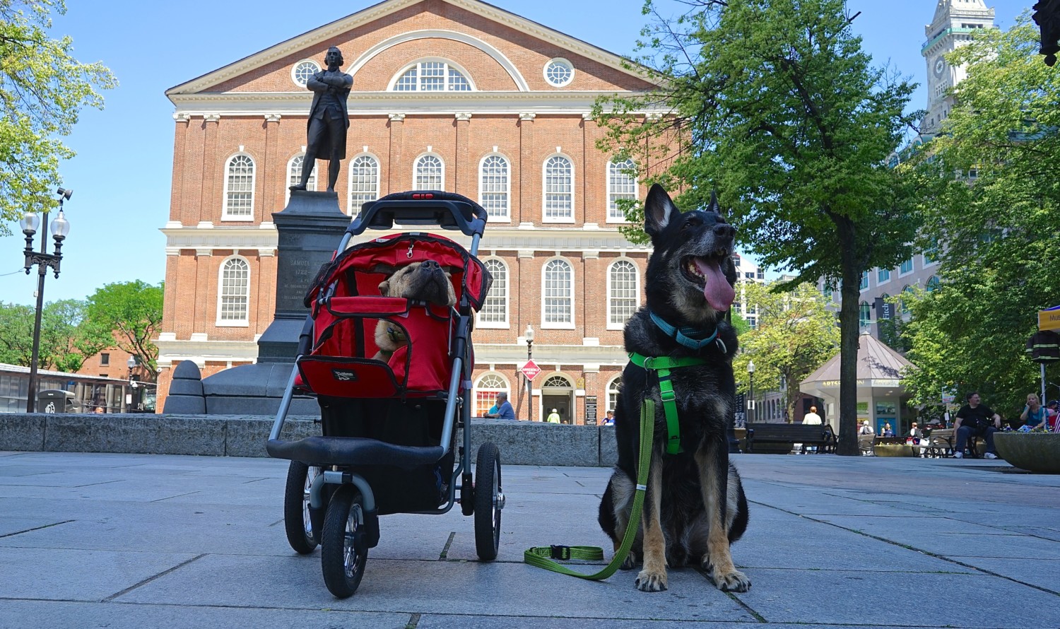 Massachusetts' Top Pet Friendly Attraction: Boston's Freedom Trail | GoPetFriendly.com