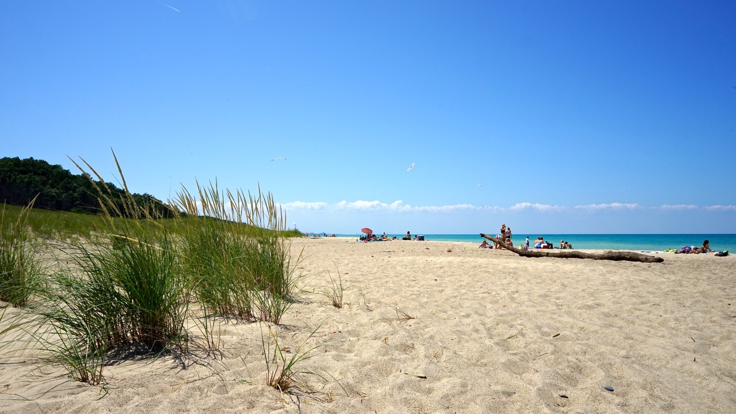 Indiana's Top Pet Friendly Attraction: Indiana Dunes Lakeshore | GoPetFriendly.com