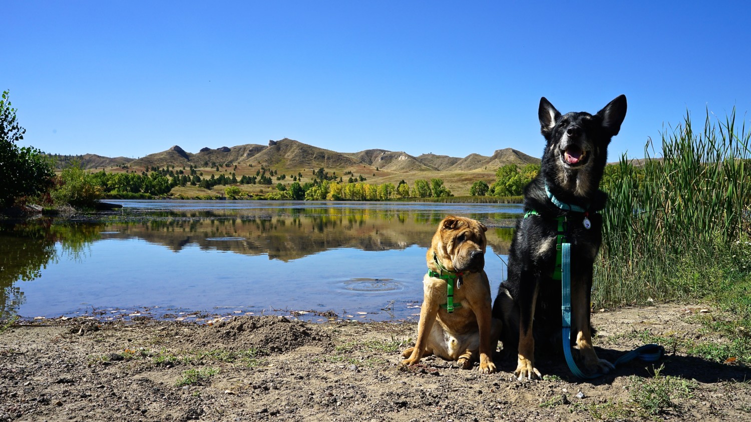 Nebraska's Top Pet Friendly Attraction: Fort Robinson State Park | GoPetFriendly.com