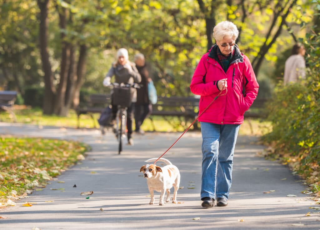 Old Woman Walking Her Dog In The Park