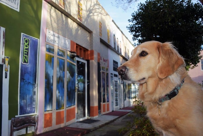 Honey the golden retriever checks out the storefront mural in Georgetown, South Carolina | GoPetFriendly.com