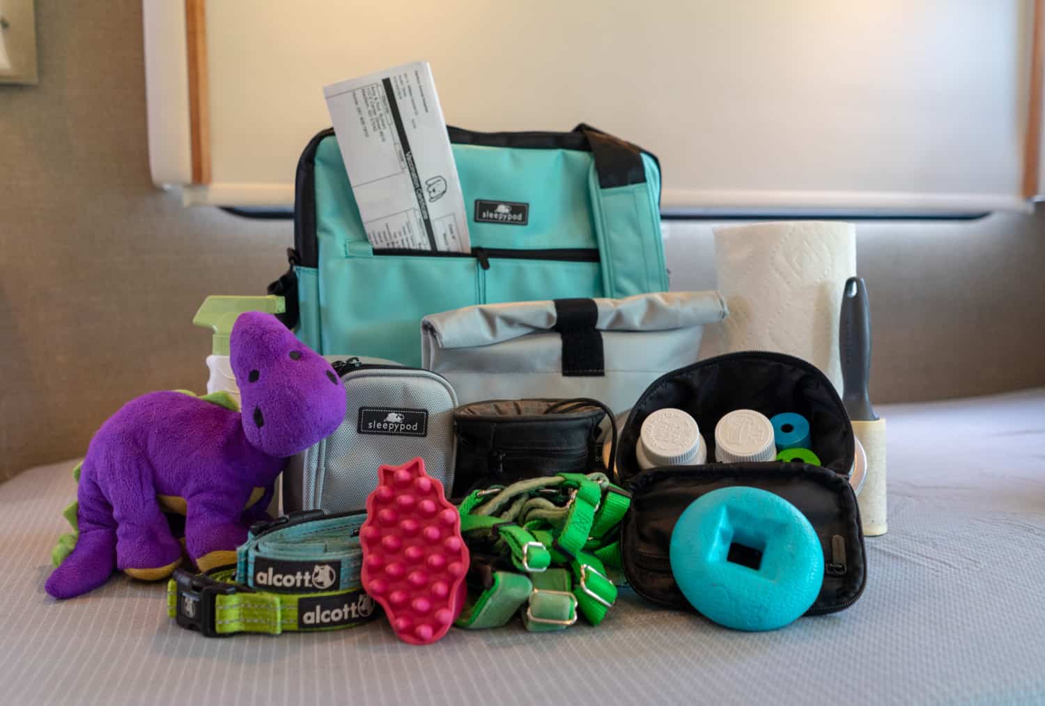 A bag with all the essentials your dog will need to go on an overnight trip.