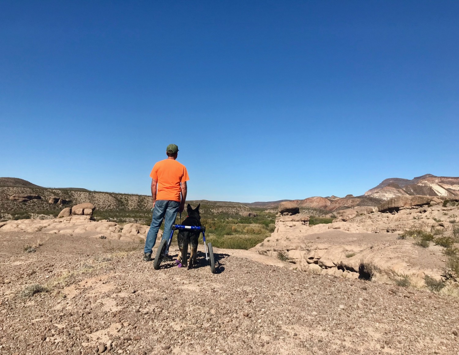 Man and German Shepherd Dog on the pet friendly Hoodoos Trail in Big Bend Ranch State Park, Texas