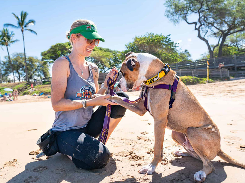 Maui Humane Society Beach Buddy and Dog