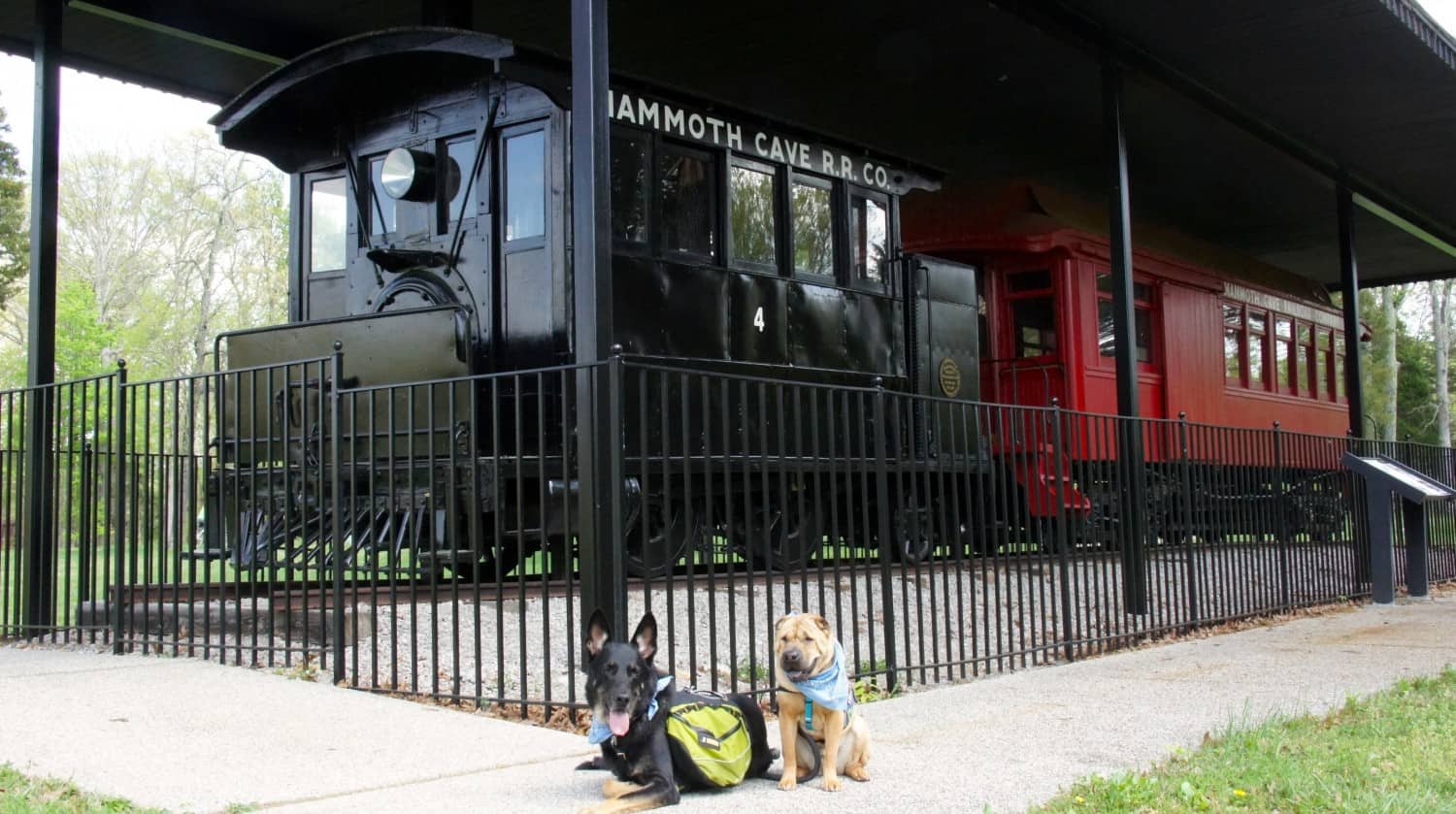 Buster and Ty at Mammoth Cave, Kentucky