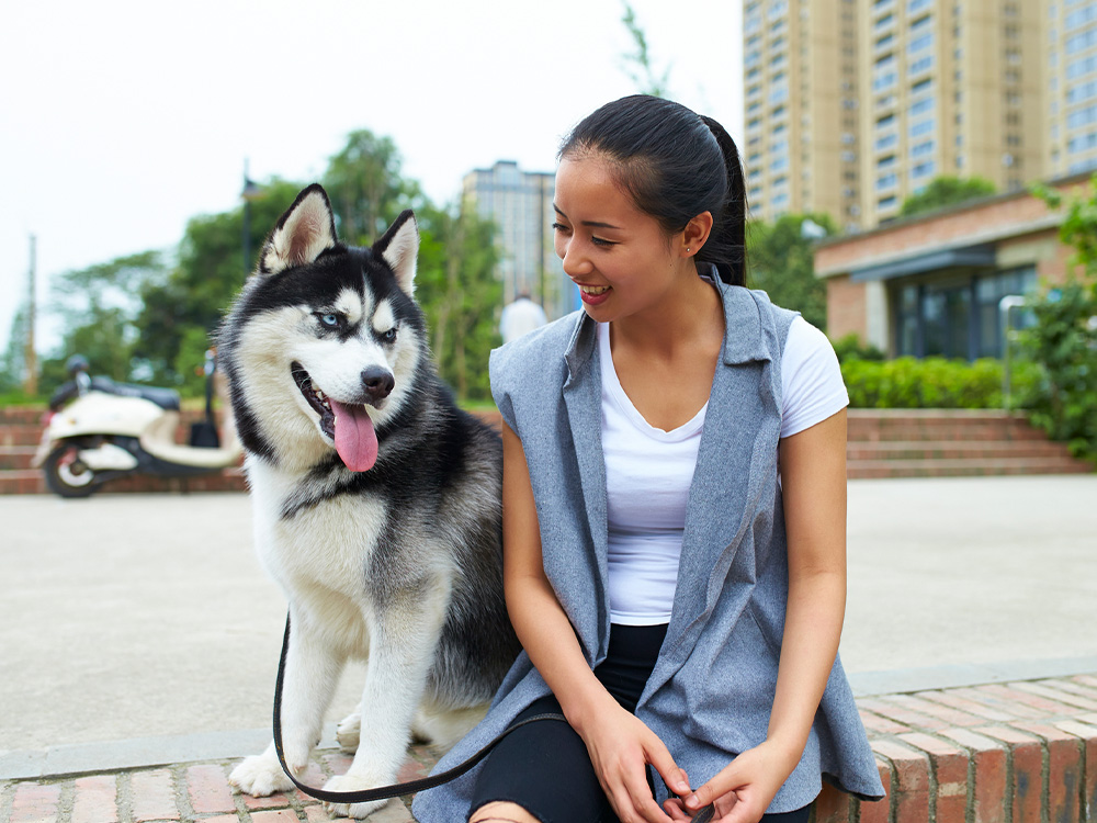 medium sized black and white husky and woman sitting on brick