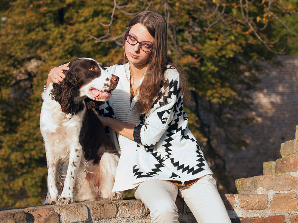 english springer spaniel and woman hangout