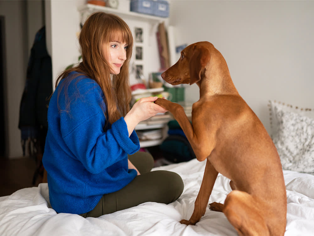 Red headed woman and Vizla dog on bed 