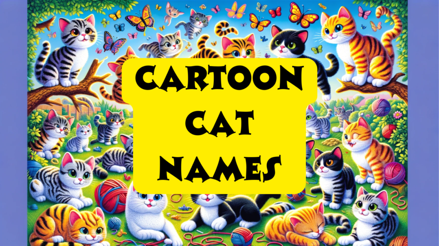 210 Cartoon Cat Names Worldpetinfo