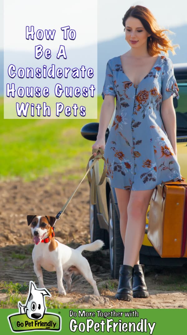 Woman in a summer dress with a suitcase in one hand and the leash of a Jack Russel Terrier in the other