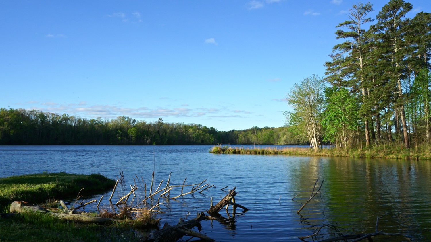 Mississippi's Top Pet Friendly Attraction: The Natchez Trace | GoPetFriendly.com