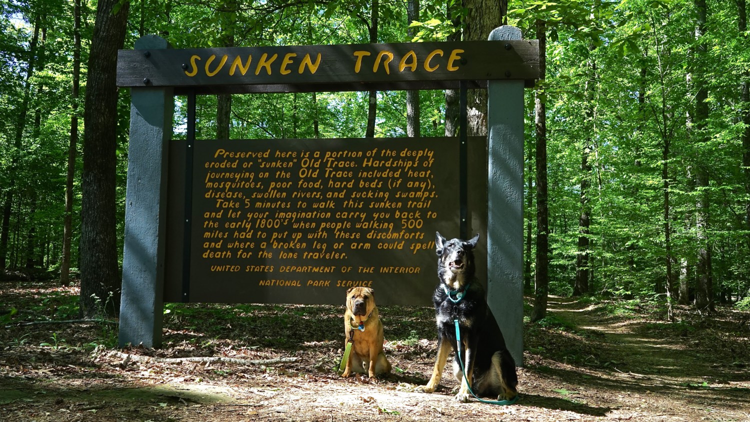 Mississippi's Top Pet Friendly Attraction: The Natchez Trace | GoPetFriendly.com