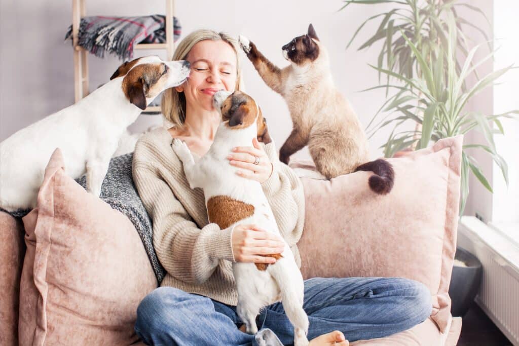 Happy Woman Playing With Her Dogs And Cat On The Couch At Home