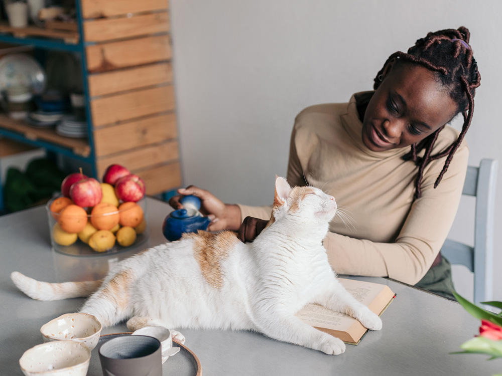 Woman petting white cat