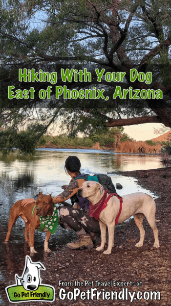 Hiking With Your Dog East of Phoenix | GoPetFriendly.com