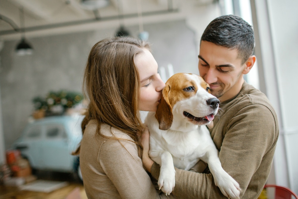 Dog With Its Pet Owners At Home - Should I Get A Dog