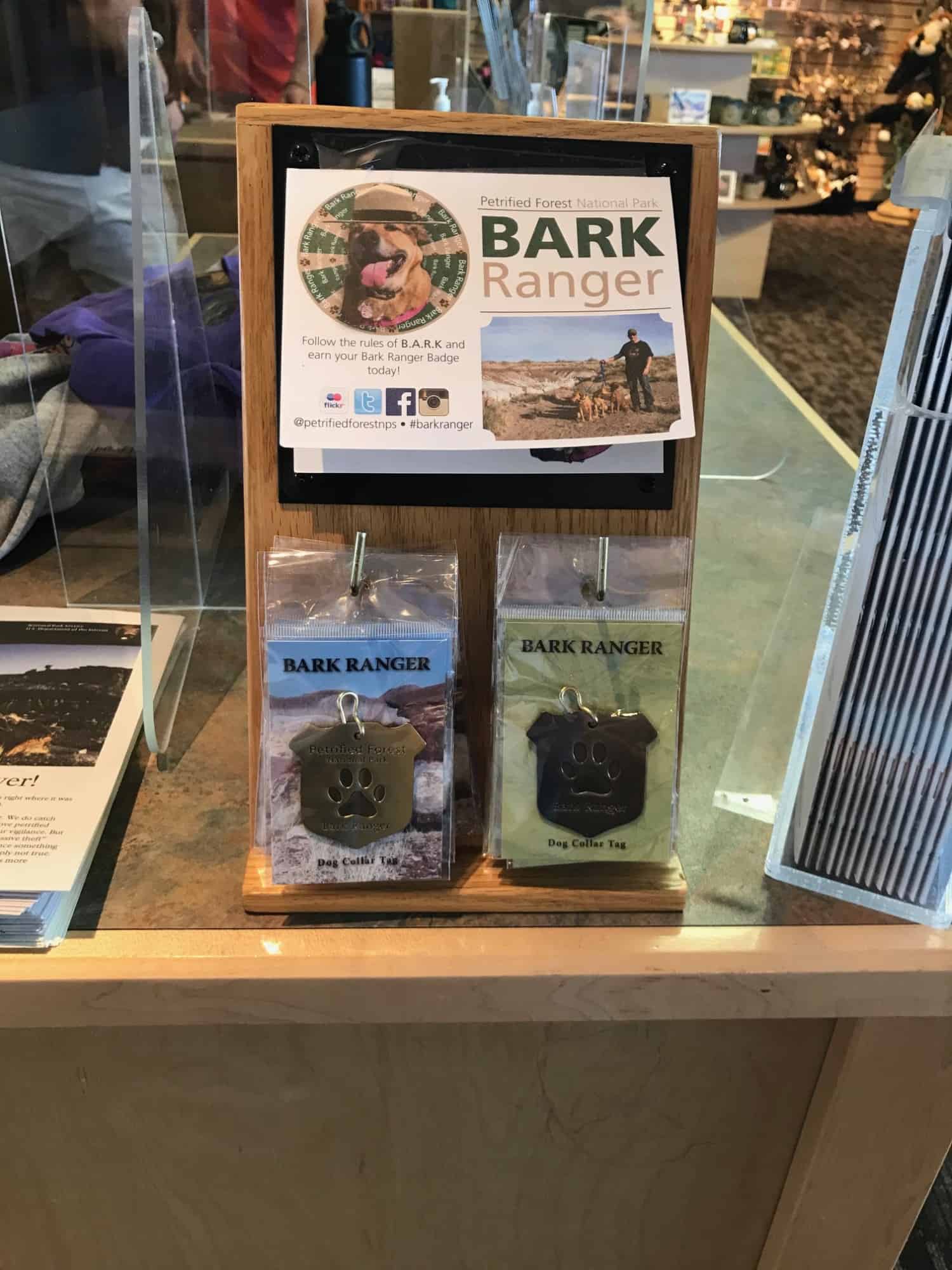 Bark Ranger tag display in the counter at Petrified Forest National Park