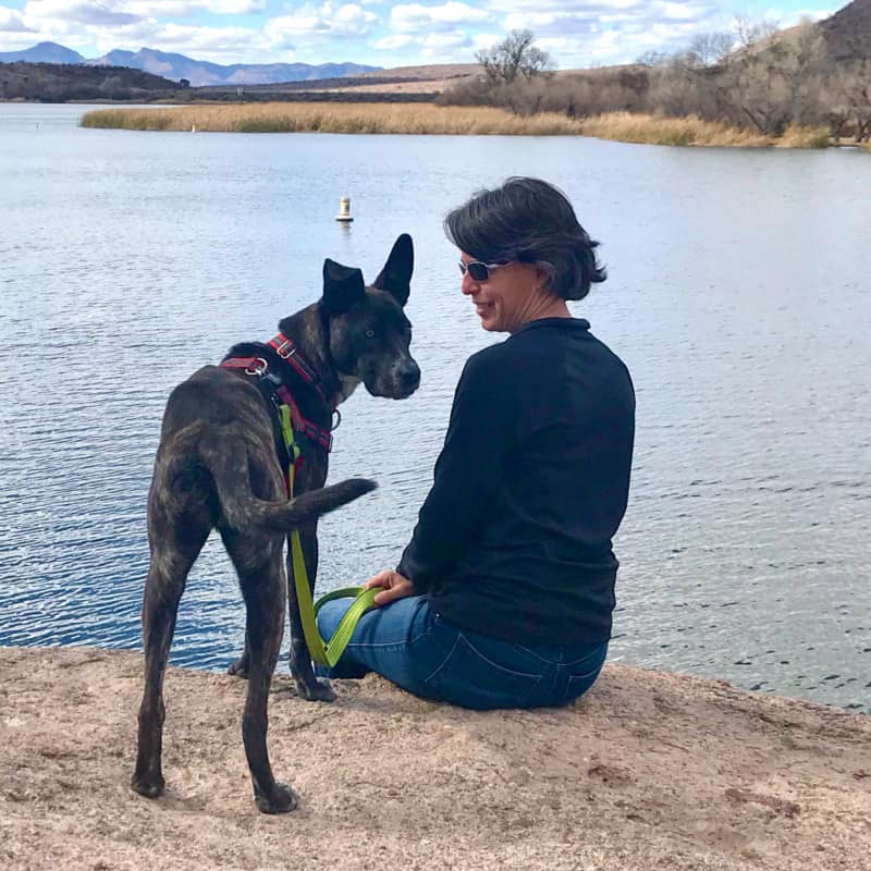 Dog and woman overlooking the lake at Patagonia Lake State Park near Tucson, AZ