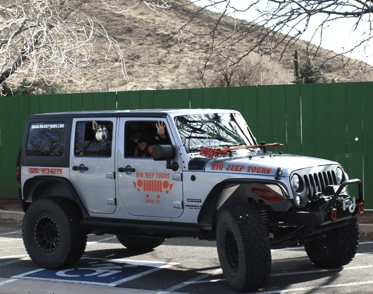 Husky dog in the back of a pet friendly jeep tour in Bisbee, AZ