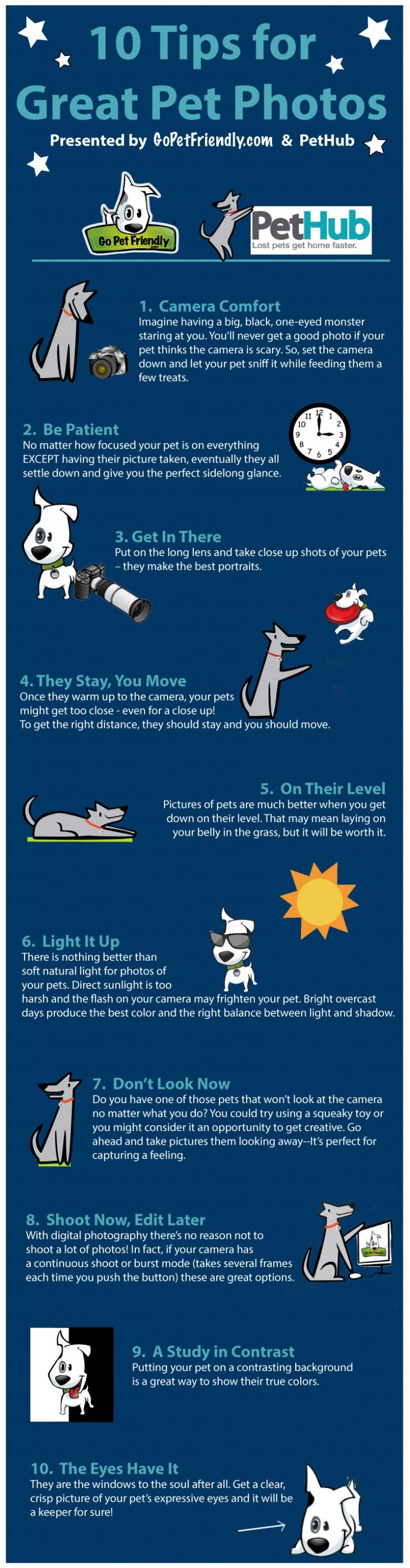 Infographic - Pet Photos