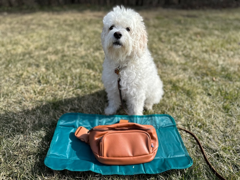 Kibou Vegan Leather Bag - nora sitting ourdoor with the product