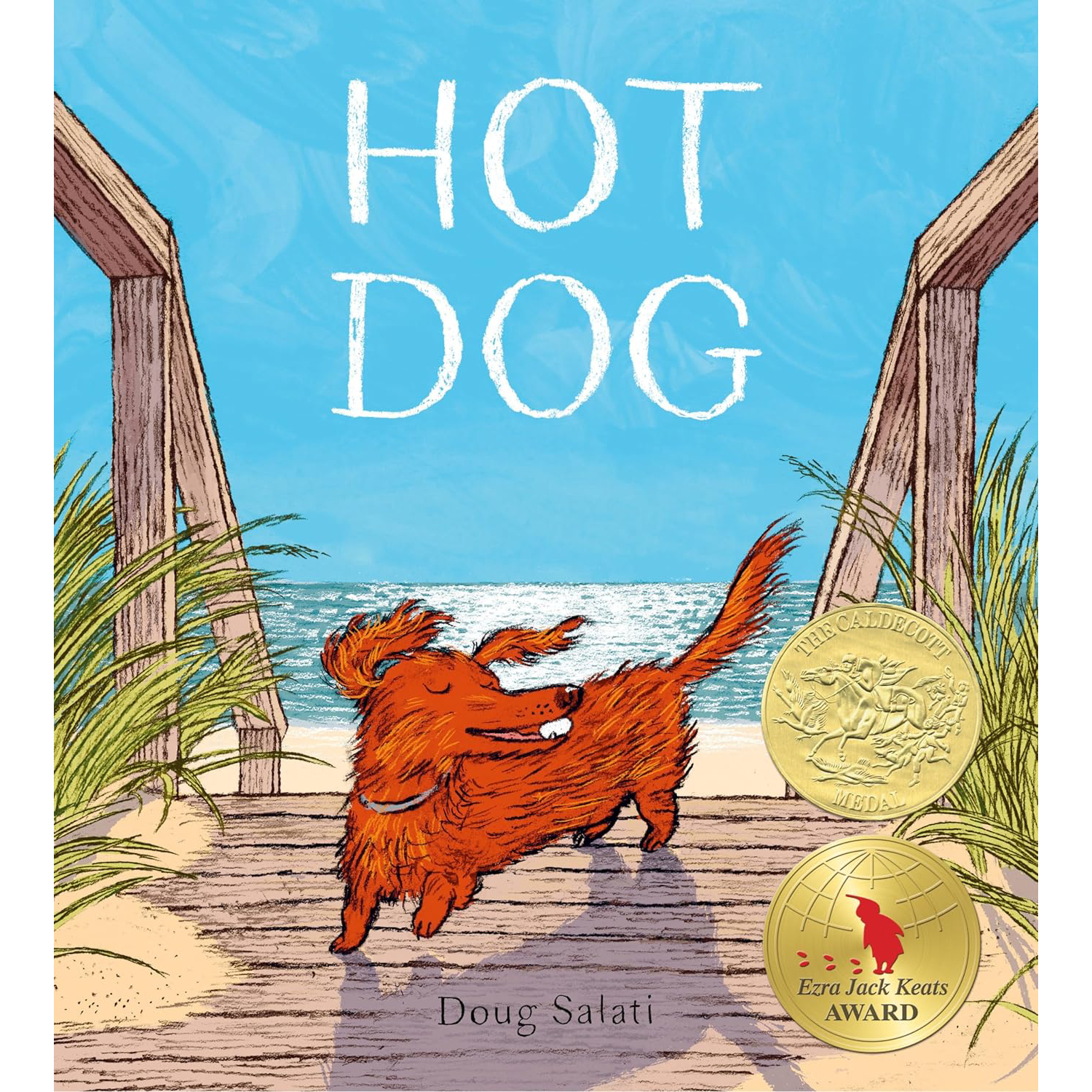 Hot Dog- (Winner of the 2023 Caldecott Medal) 