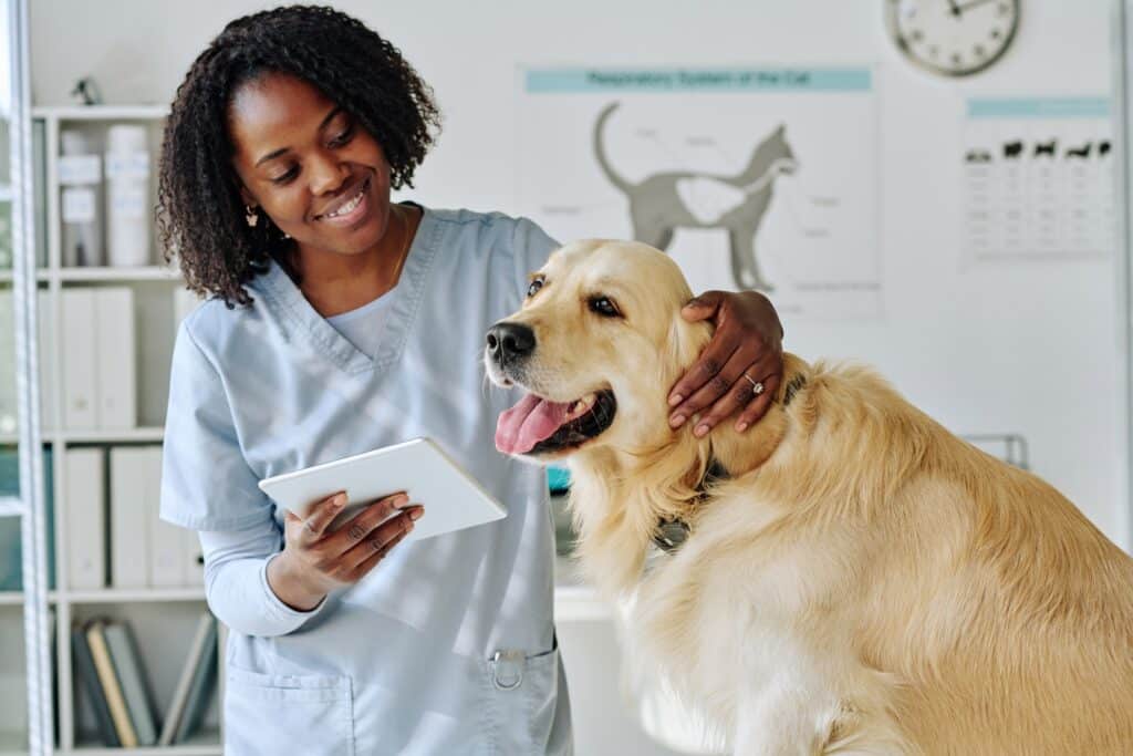 Young Vet Using A Tablet With A Dog 