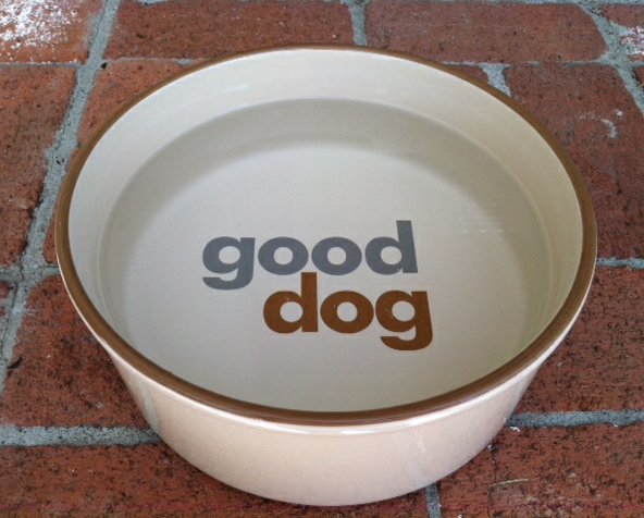 Dog Bowl on Sidewalk