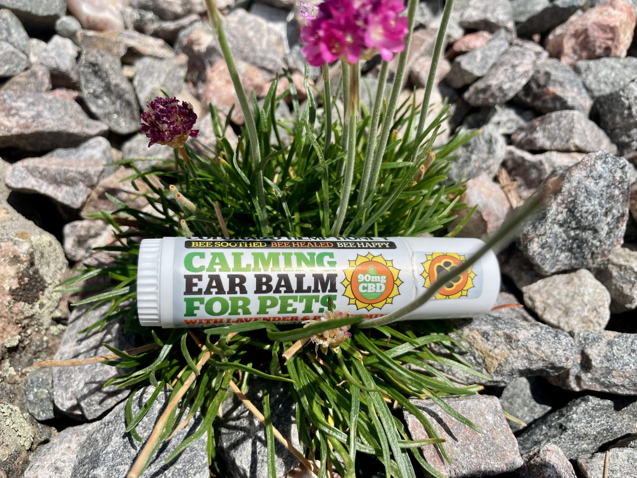 Calming Ear Balm for Pets