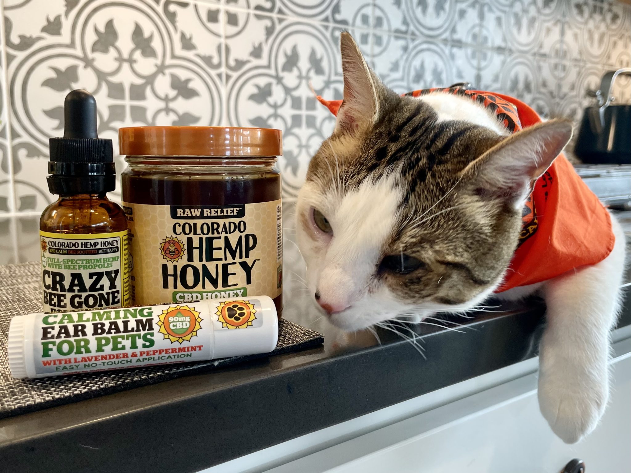 Colorado Hemp Honey Pet CBD Products with cat