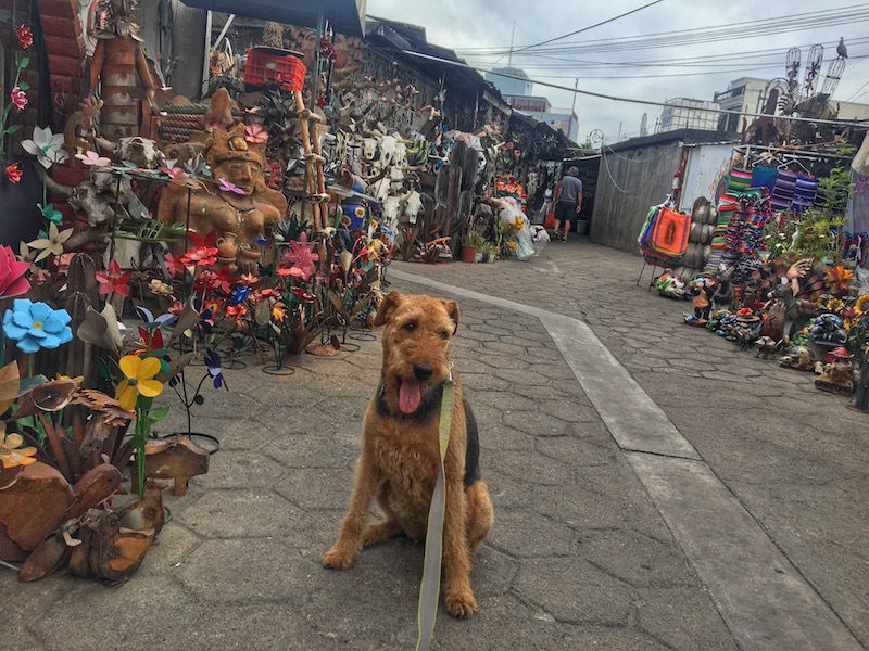 Nogales Mexico Market