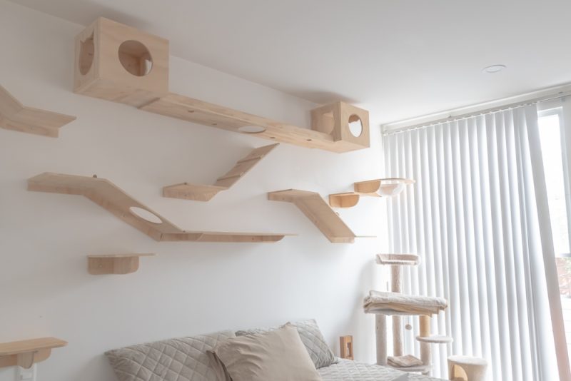 a room with cat shelves and cat tree