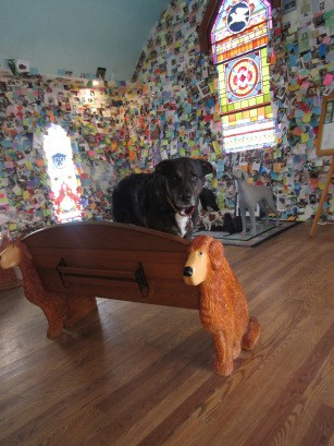 Dogs at the Dog Chapel at Dog Mountain in St. Johnsbury, VT