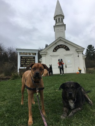 Dogs at the Dog Chapel at Dog Mountain in St. Johnsbury, VT