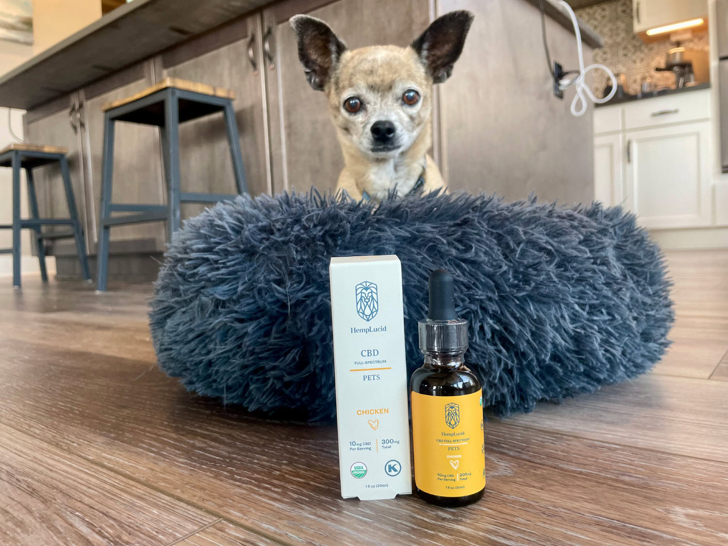 HempLucid Organic Full-Spectrum CBD for Pets - product box and bottle on the floor