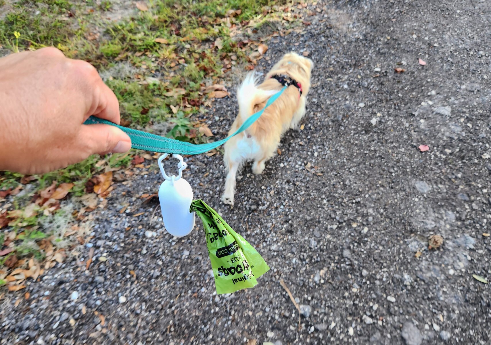 The Original Poop Bags Review - man bringing the bags during a walk with pet dog