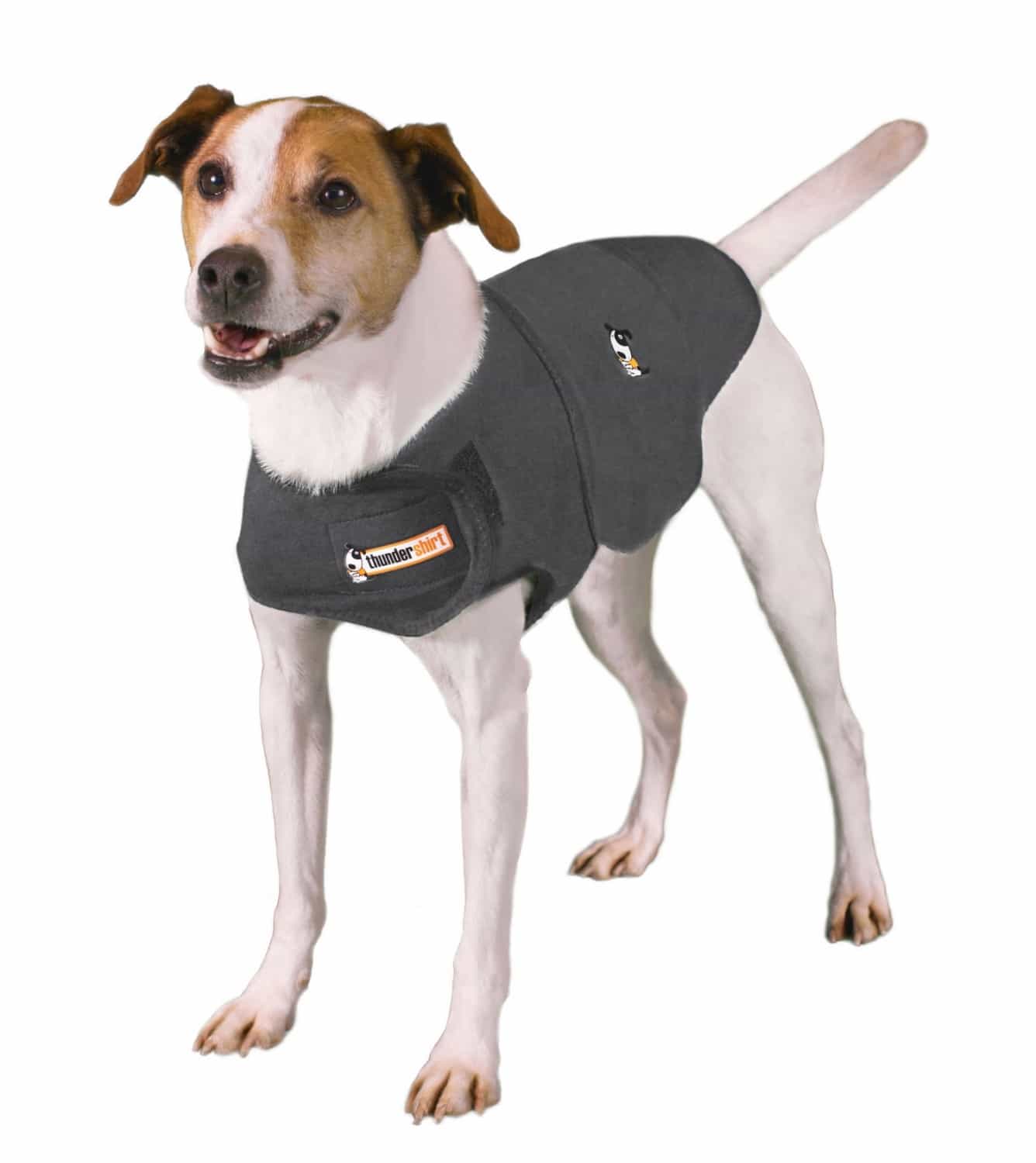 Thundershirt