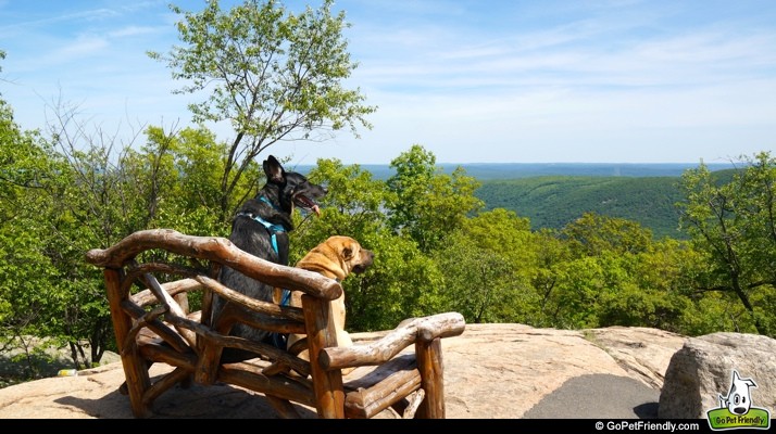 Buster & Ty on Bear Mountain - Hudson Valley, NY