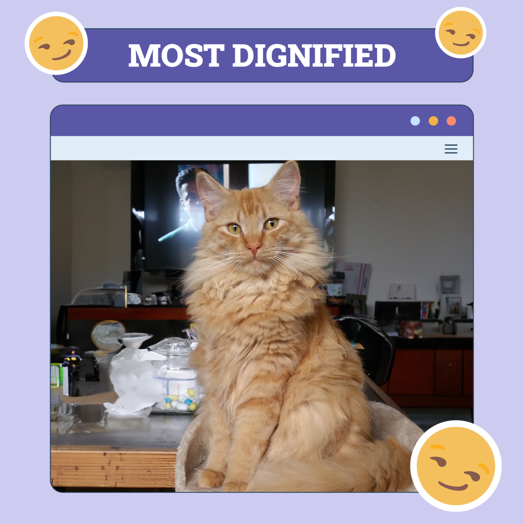 Most Dignified