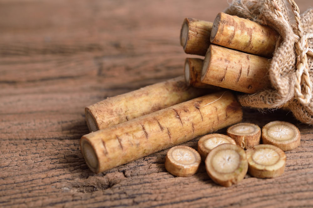 fresh Burdock Root