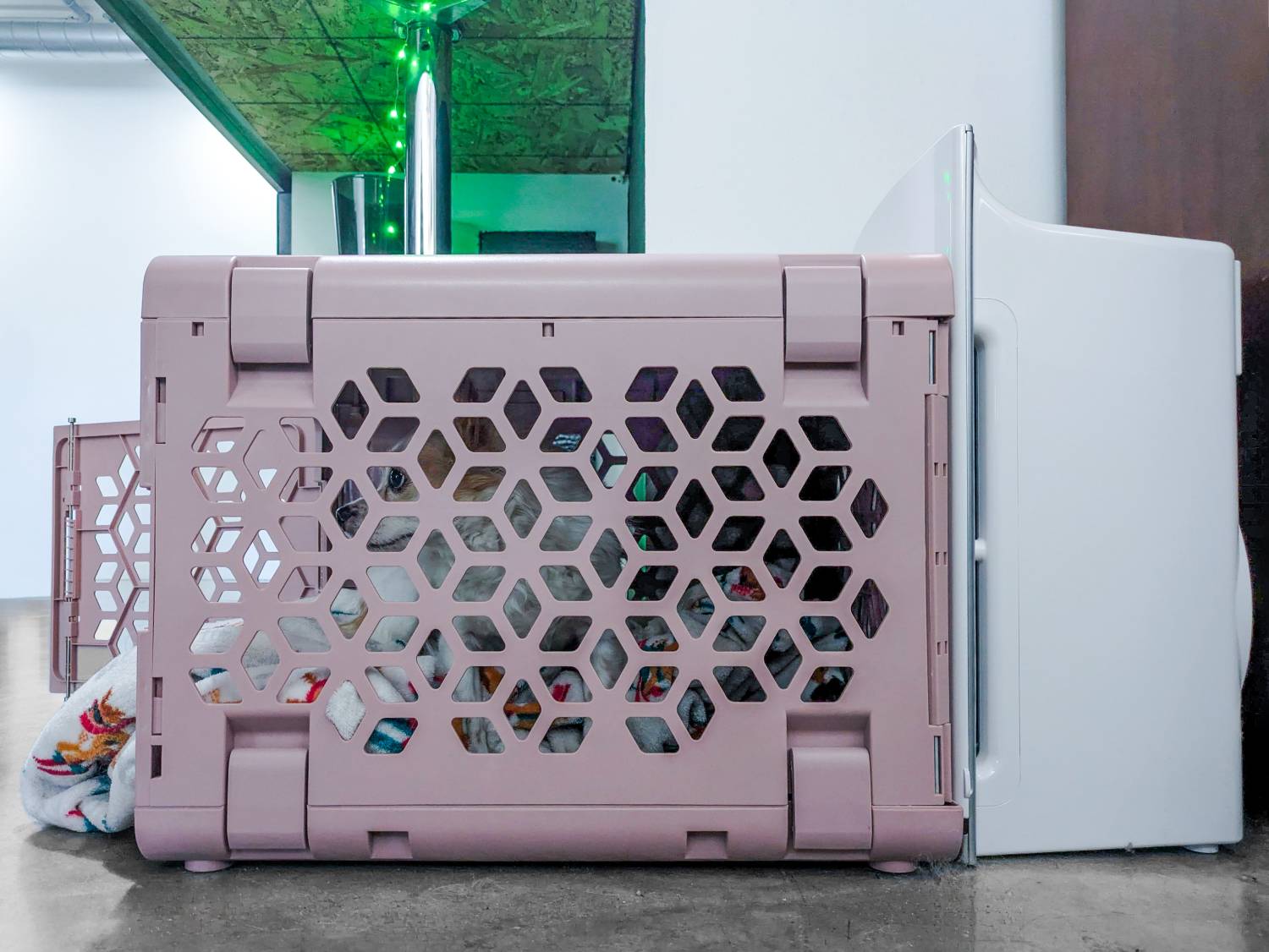 Intellipure Compact Air Purifier Review - purifier by the carrier