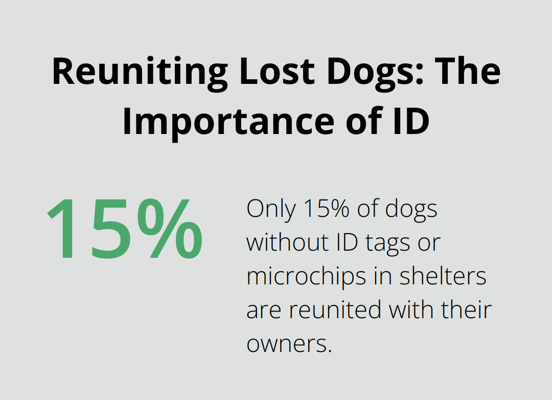 Chart showing that only 15% of dogs without ID tags or microchips in shelters are reunited with their owners
