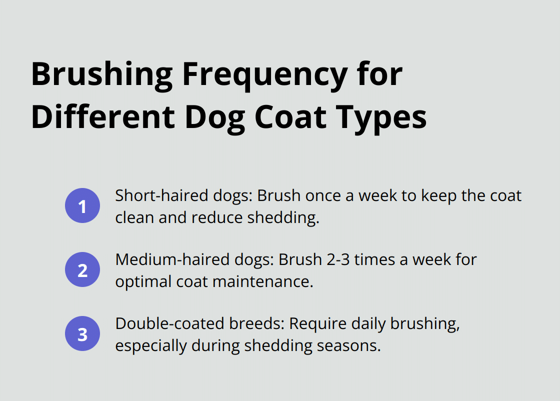 Ordered list chart showing brushing frequency for short-haired, medium-haired, and double-coated dogs - moulting dog tips