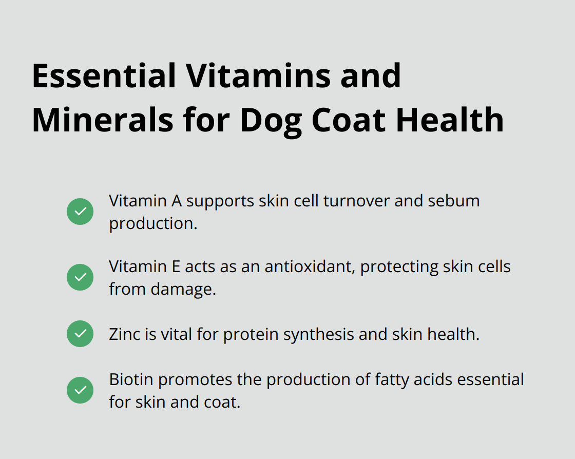 Checkmark list chart showing four essential vitamins and minerals for dog coat health: Vitamin A, Vitamin E, Zinc, and Biotin - moulting dog tips
