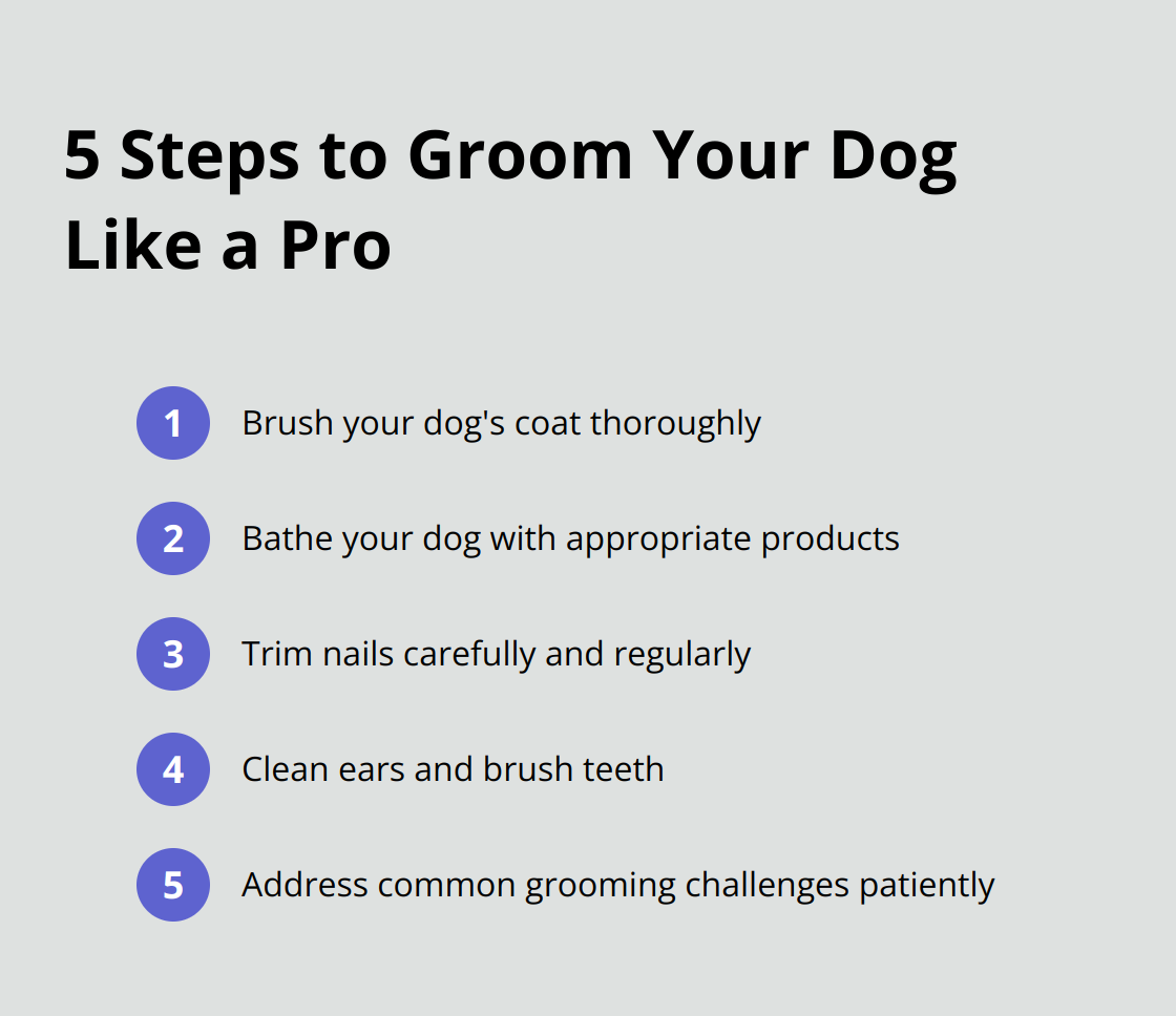Ordered list of five steps to professionally groom your dog at home: brushing, bathing, nail trimming, ear and dental care, and addressing common challenges. - tips on grooming your dog at home