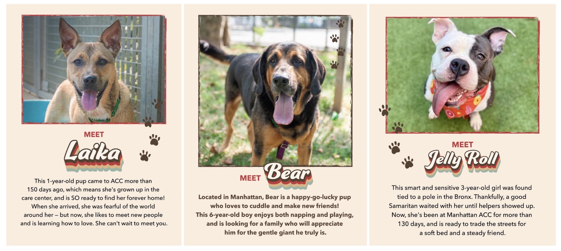 Adopt Love adoptable dogs