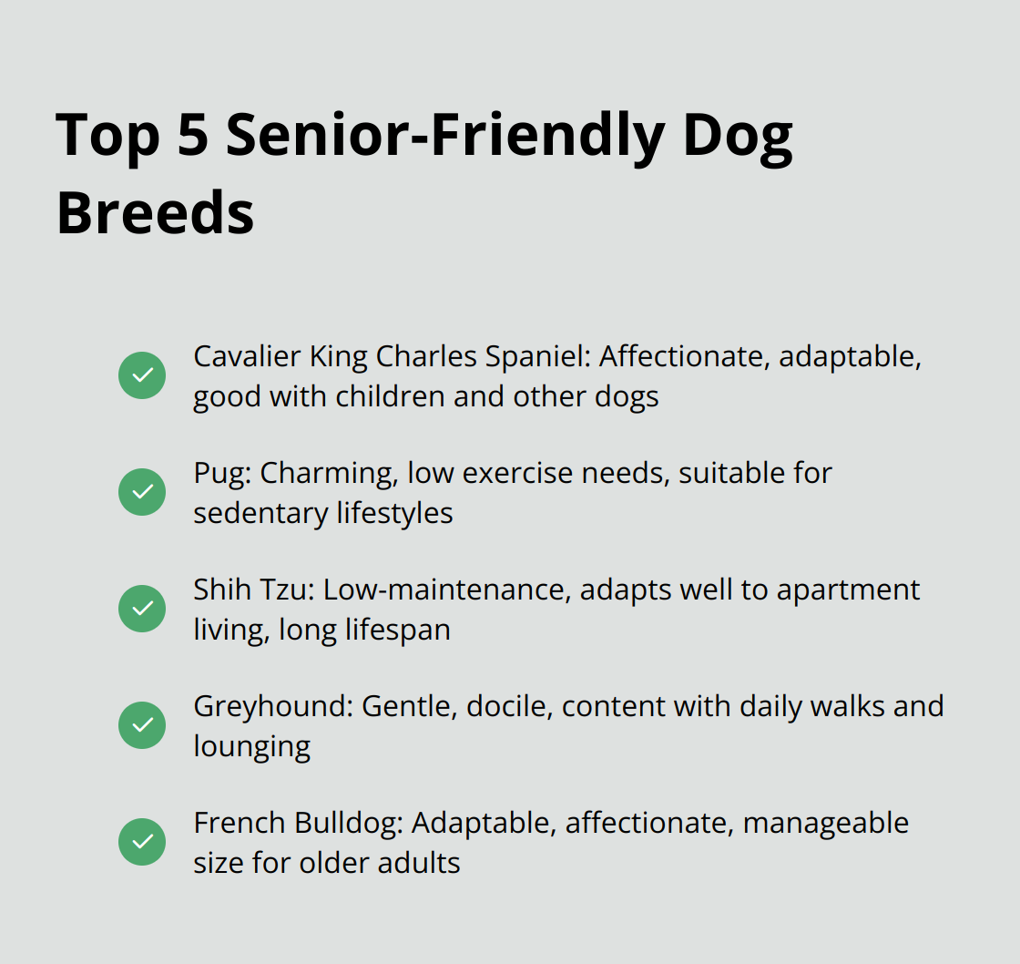 Checklist of 5 senior-friendly dog breeds: Cavalier King Charles Spaniel, Pug, Shih Tzu, Greyhound, and French Bulldog, with their key traits.