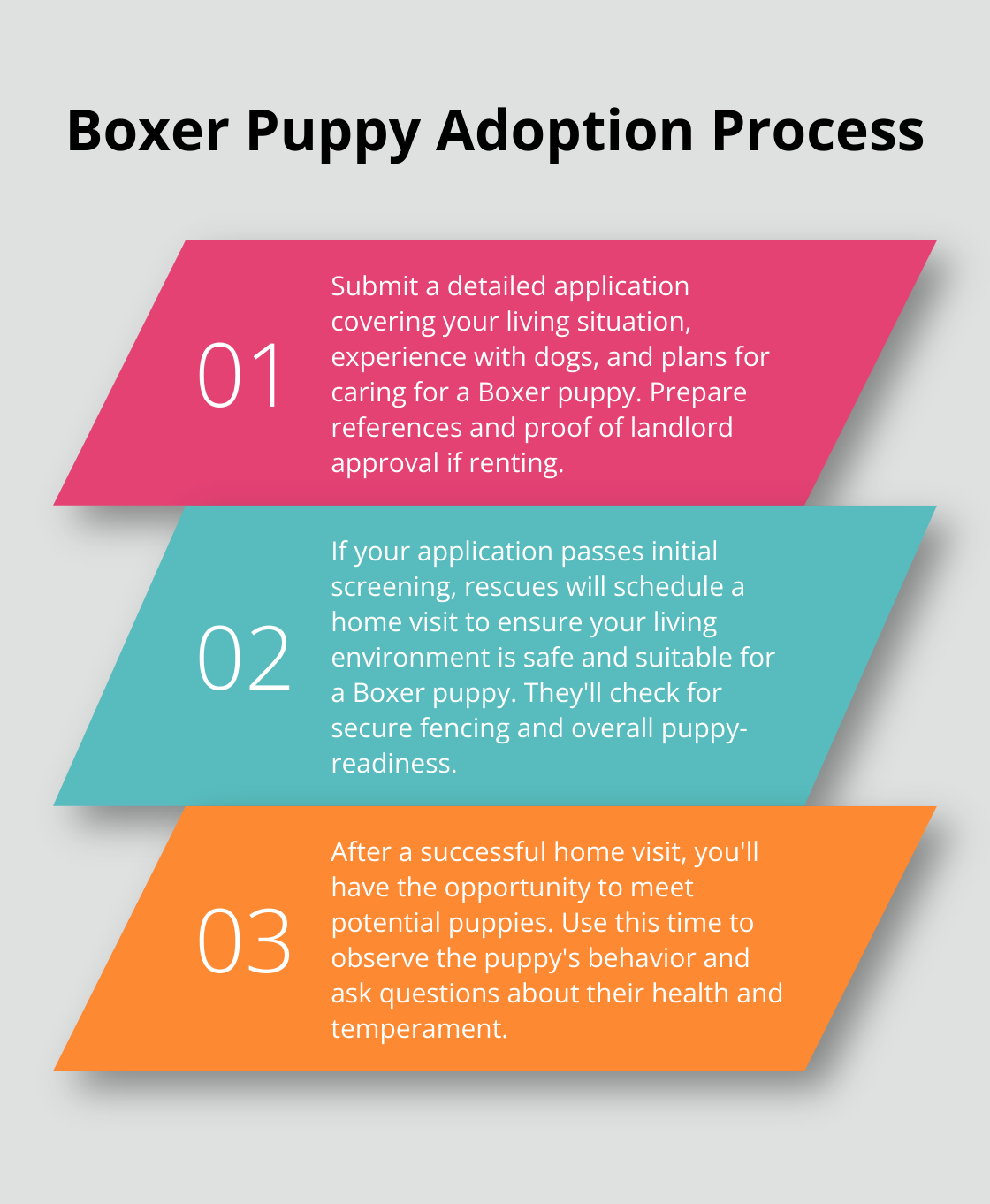 Ordered list chart showing three key steps in the Boxer puppy adoption process: Application submission, Home visit, and Meeting potential puppies