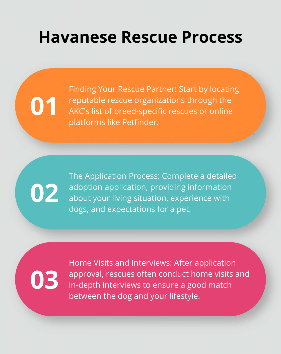 Ordered list showing the four key steps in the Havanese rescue process: Finding Your Rescue Partner, The Application Process, Home Visits and Interviews, and Meeting Your Potential Match - dog breed havanese rescue